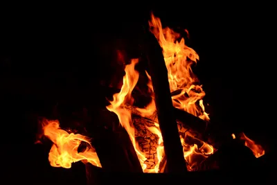 DSC_0136 (Large).JPG